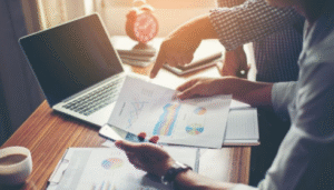 litigation expert services